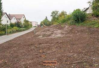Keine Originalbilder