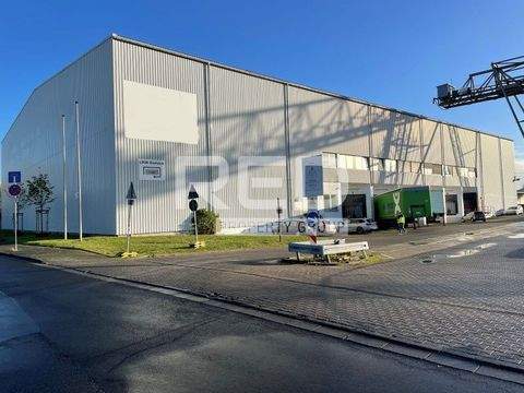 Düsseldorf Halle, Düsseldorf Hallenfläche