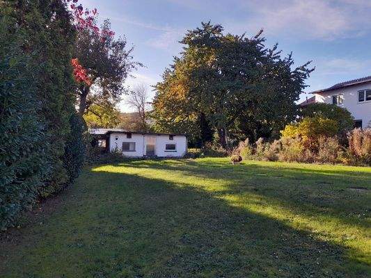 Ehem. Hundezwinger/Kirschbaum