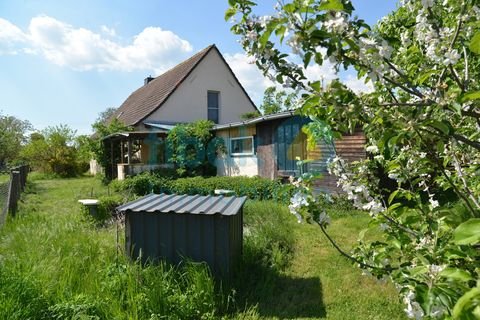 Plötzkau / Bründel Häuser, Plötzkau / Bründel Haus kaufen