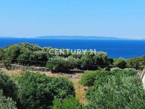 Novalja Häuser, Novalja Haus kaufen