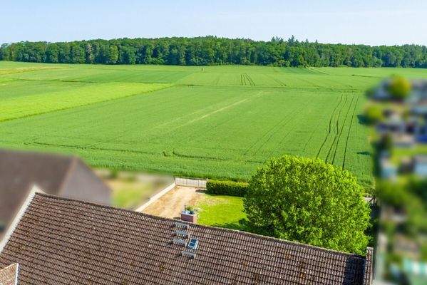IMAXX_Bad Nauheim_Drohenansicht Ausblick Garten