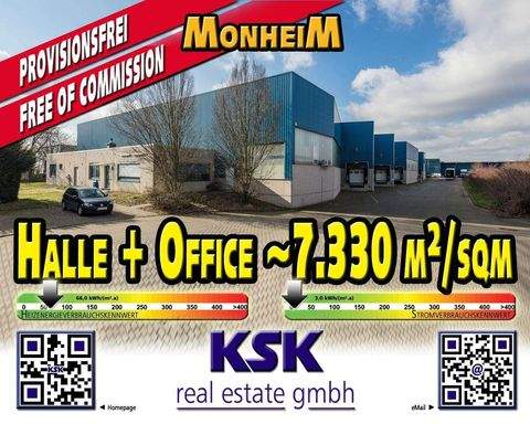 Monheim am Rhein Halle, Monheim am Rhein Hallenfläche