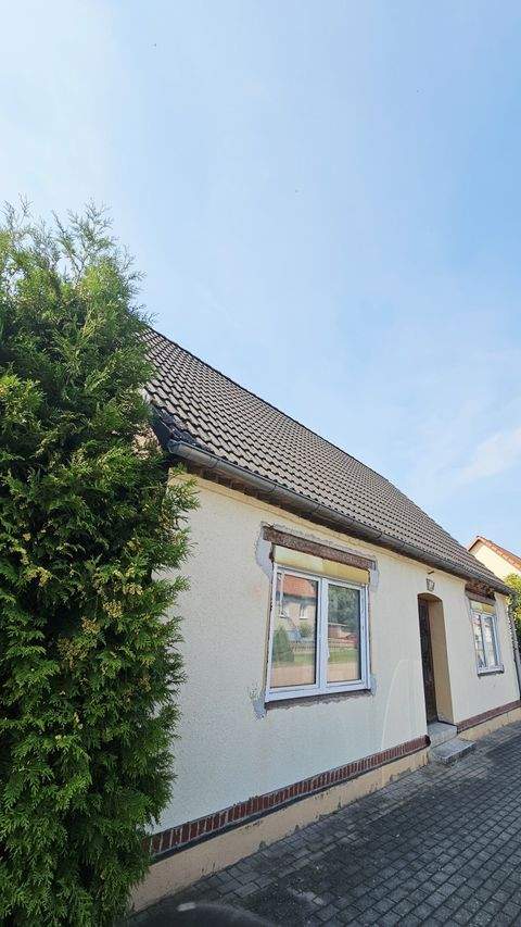 Oranienbaum Häuser, Oranienbaum Haus kaufen