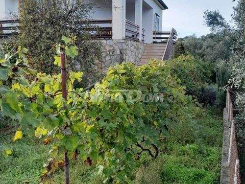 Centar Häuser, Centar Haus kaufen