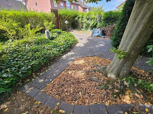 rückwärtiger Gartenausgang