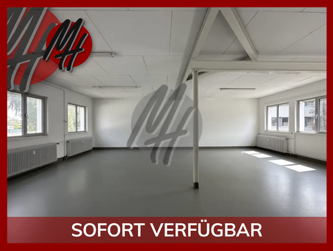 Sulzbach am Main Halle, Sulzbach am Main Hallenfläche