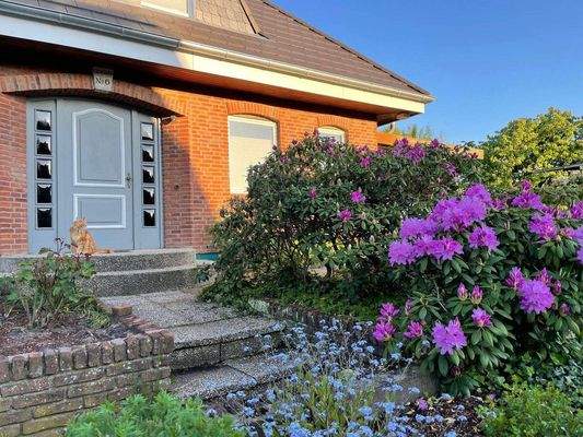 Blütenvielfalt zu jeder Jahreszeit