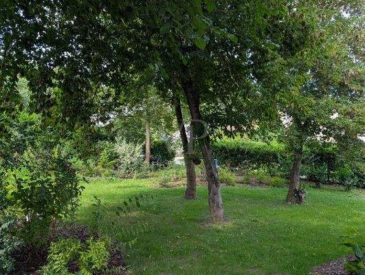 Gartenimpression Sommer II