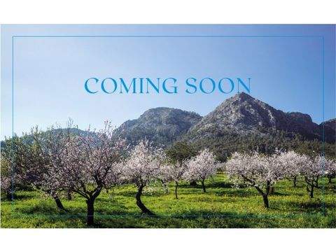 Binissalem Häuser, Binissalem Haus kaufen