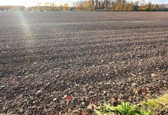 Ackerfläche Erftstadt