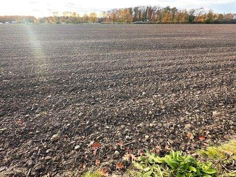 Erftstadt Bauernhöfe, Landwirtschaft, Erftstadt Forstwirtschaft