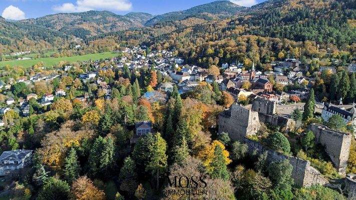 Luftbild Badenweiler