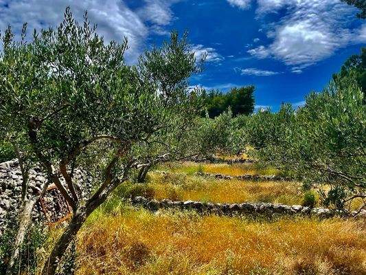 Umgebung mit Meerblick 