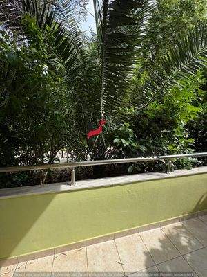 WhatsApp Image 2025-05-11 at 10.24.30-4.jpeg