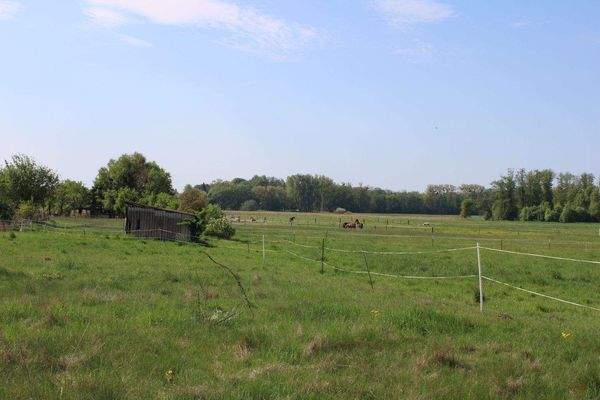 Grundstücksansicht Wiese