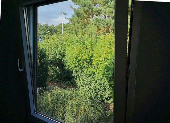 Blick aus Kinderzimmer 1