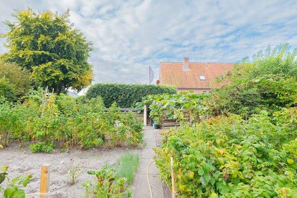 Baugrundstück hinten