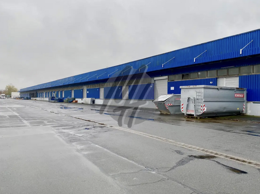 INFOS UNTER: 06171-586000