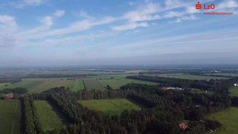 Edewecht Bauernhöfe, Landwirtschaft, Edewecht Forstwirtschaft