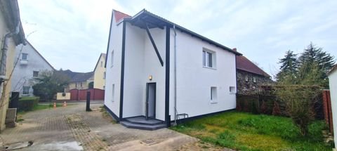 Torgau Häuser, Torgau Haus kaufen
