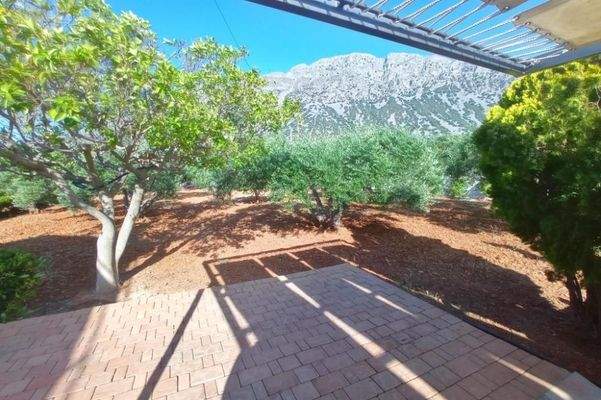 Kreta, Kavousi: Tolle Villa mit Pool, Meerblick und Olivenhain zu verkaufen