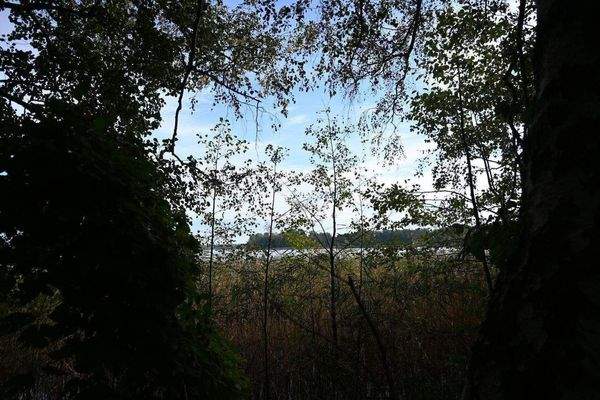 auf der seeseite des Lebens.JPG