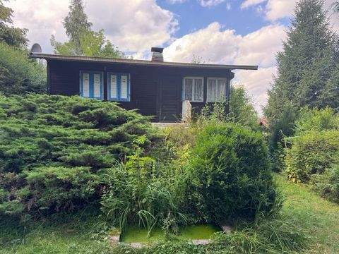 Luisenthal Grundstücke, Luisenthal Grundstück kaufen