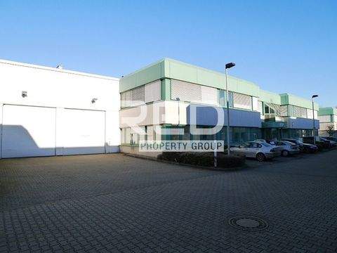 Düsseldorf Halle, Düsseldorf Hallenfläche