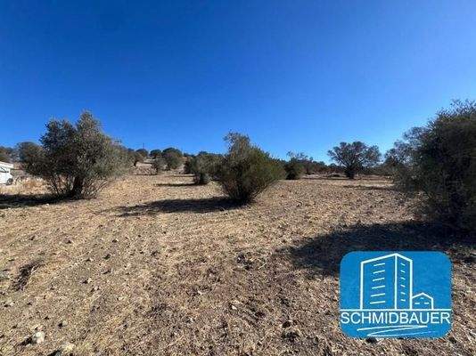 Kreta, Pitsidia: Grundstück mit Baugenehmigung für drei Luxusvillen zu verkaufen