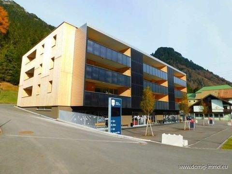 Dalaas / Wald am Arlberg Wohnungen, Dalaas / Wald am Arlberg Wohnung kaufen