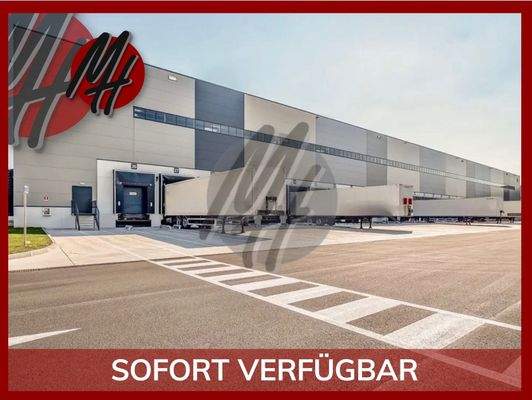 INFOS UNTER: 06171-586000