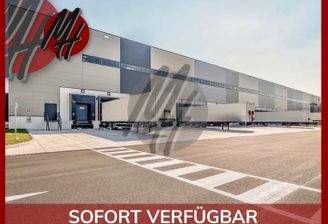 INFOS UNTER: 06171-586000