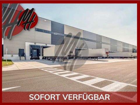 Vaihingen an der Enz Halle, Vaihingen an der Enz Hallenfläche