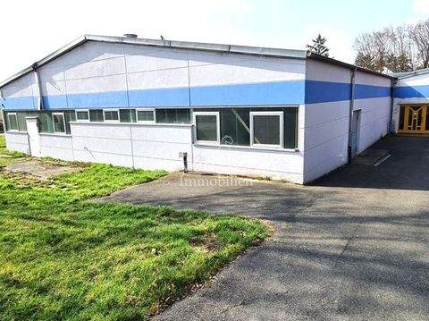 Obermichelbach Halle, Obermichelbach Hallenfläche