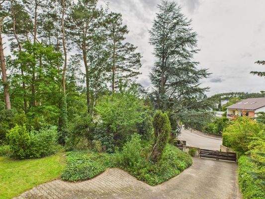 Repräsentative Zufahrt zum Haus