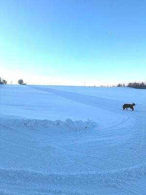 Skipiste hinter dem Haus