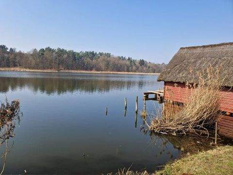 Dargun Häuser, Dargun Haus kaufen