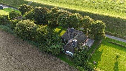 Kronprinzenkoog Häuser, Kronprinzenkoog Haus kaufen