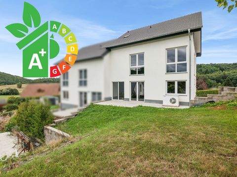 Mannebach Häuser, Mannebach Haus kaufen