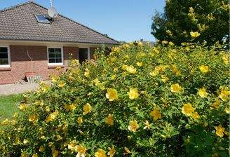 Blick von Süden aufs Haus