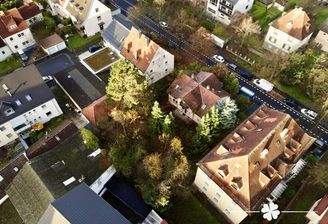 dji_fly_20251116_082956_29_1763278464871_photo