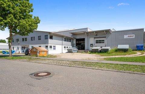 Tuttlingen / Nendingen Halle, Tuttlingen / Nendingen Hallenfläche