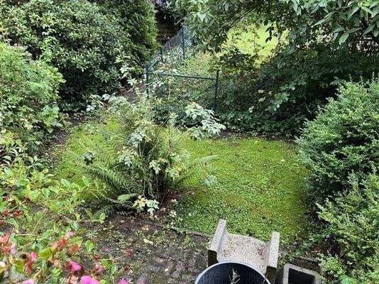 Kleiner Garten Bild 2