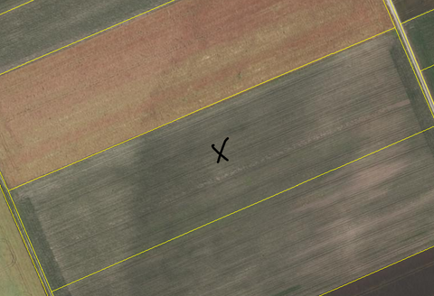 Moosinning Bauernhöfe, Landwirtschaft, Moosinning Forstwirtschaft