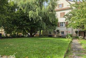 Garten hinten 2