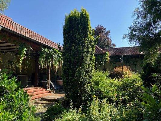 Grüner Innenhof überdacht