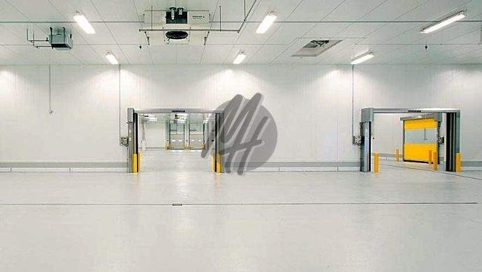 INFOS UNTER: 06171-586000