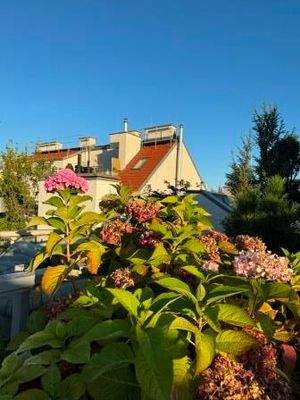 Wohnen im Herzen von Wien - Spittelberg, Stiftgasse, Mariahilferstrasse - Wien, Wien