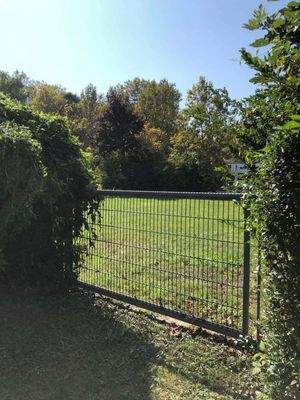 WhatsApp-kép, 2024-10-15, 10.04.22_c6b9e67e.jpg